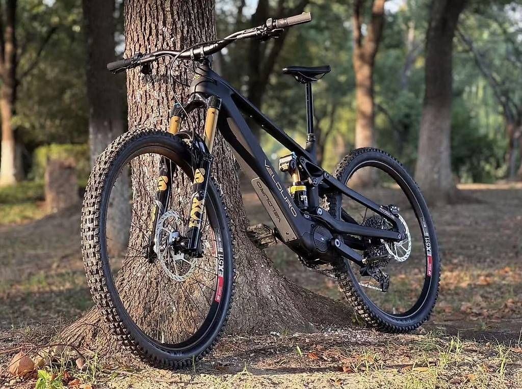 Biciclette: VELDURO ROGUE avinox M2S – Nuovo e nell'imballaggio originale da Bassecourt venduto da PANZER-BIKE 2