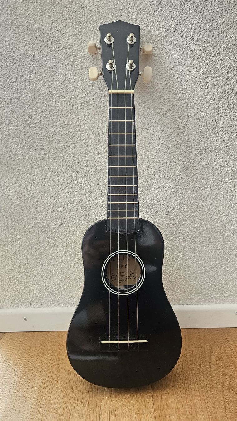 Strumenti musicali: Sopran Ukulele mit Tasche und Lehrbuch – Nuovo (secondo la descrizione) da Adliswil venduto da jul_rqj5 2
