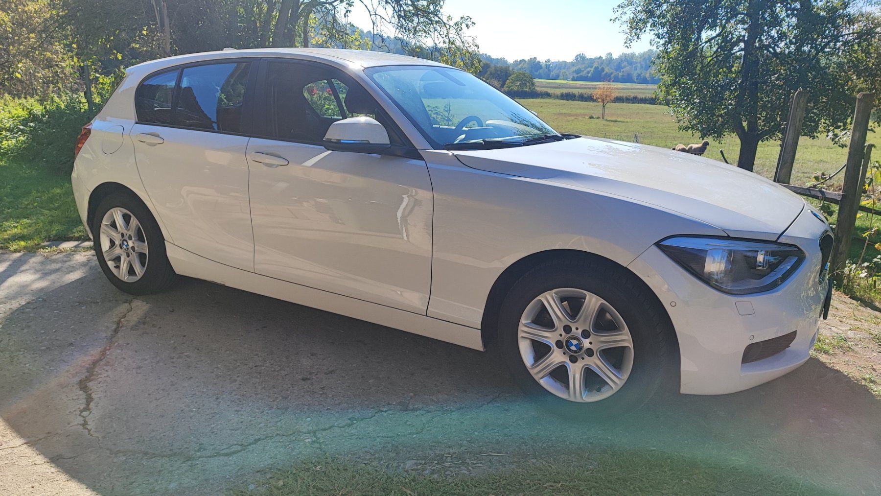 BMW Automobili: BMW 118i – Difettoso da Eggenwil venduto da Nerli99 2
