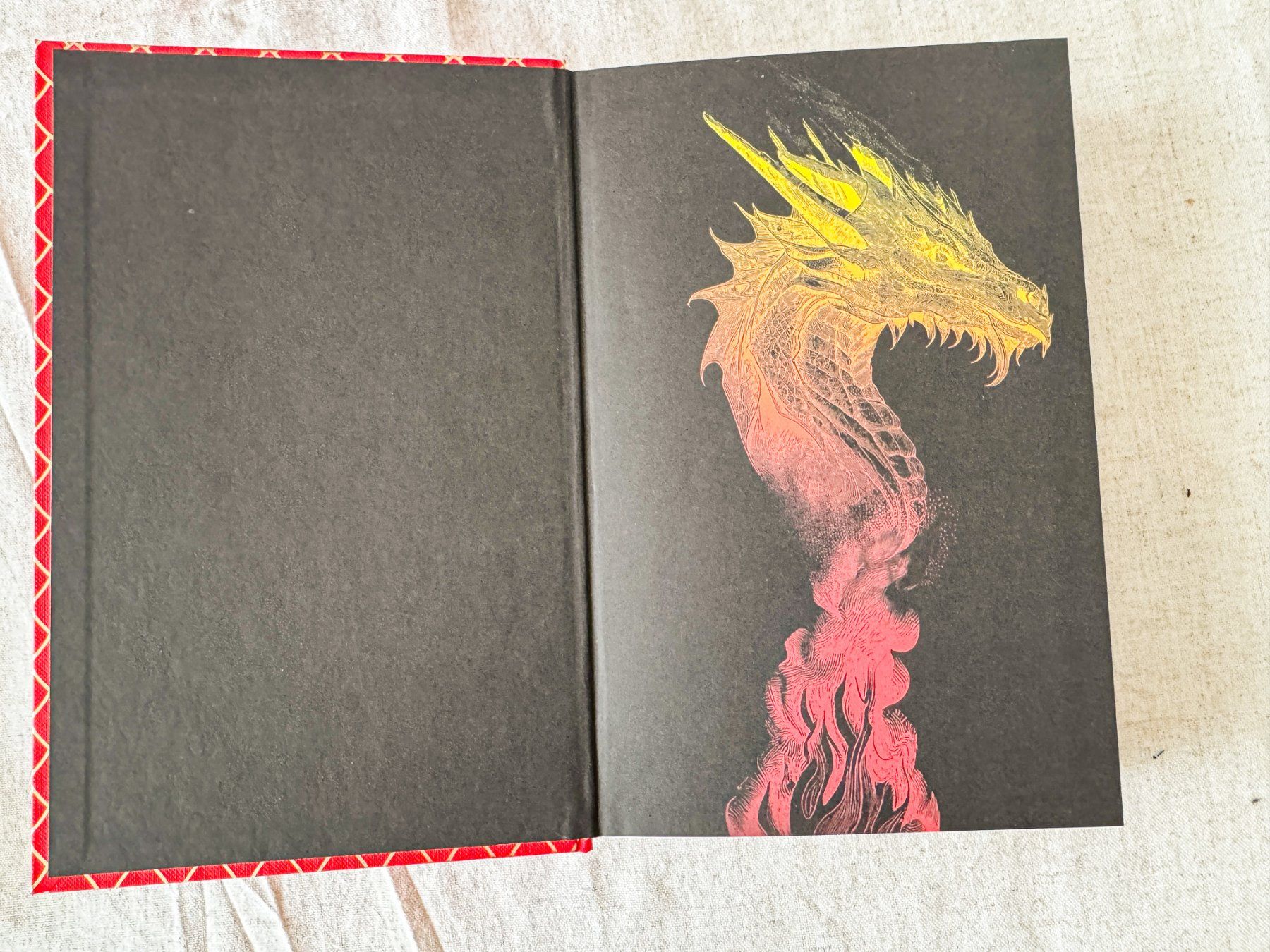 Libri: Dragon Rider - Taran Matharu - Special Edition mit Slipcase – Nuovo (secondo la descrizione) da Uzwil venduto da Lintu 3