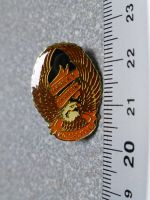 PIN PINS HARLEY DAVIDSON HOG ABZEICHEN CHAPTER V-TWIN