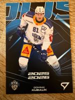 Dominik Kubalik - EV Zug - Powerhouse - PH-050