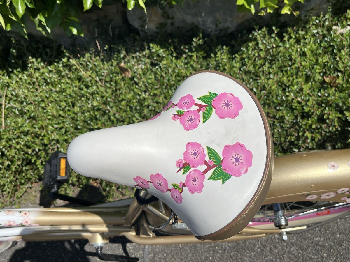 klapprad compass 24 Zoll Faltrad Klapprad, Alu-Rahmen Fahrrad Klappfahrrad mit Komfortsattel Ständer Gepäckträger und Schutzbleche für Herren, Damen, Mädchen, Jungen geeignet,Coffee Sport & Freizeit BeFit24 Unisex Nierenwärmer aus please select from the pro scooter completes condition:Excellent_1