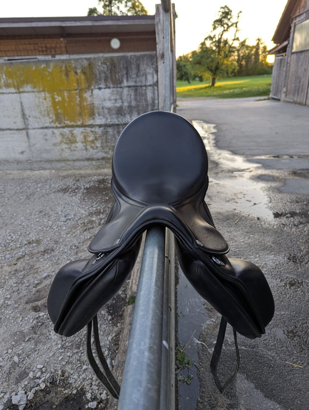 Selle & Accessori: Dressursattel Eric Thomas 17" – Usato da Bad Ragaz venduto da ele_62tq 3