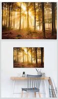 REINDERS Poster Enlightened Forest 61x91.5 cm  neu