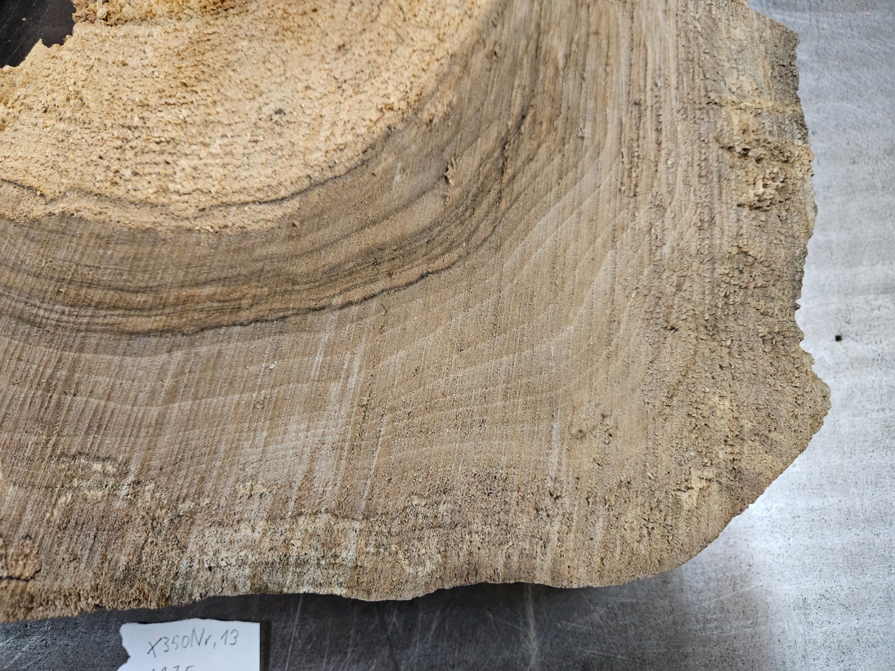 Articoli in legno: Nussbaum Holz Baumscheibe – Nuovo (secondo la descrizione) da Schangnau venduto da egli6.2 3