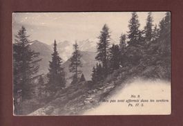 Près FINHAUT - Verset - 1909 // plis d'angle //