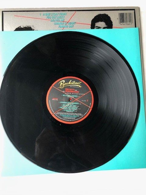 Dischi in vinile: Tom Petty And The Heartbreakers – Usato da Aarwangen venduto da Jukebox3 8