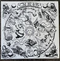 Chris Robinson Brotherhood - Vinyl LP - The Magic Door