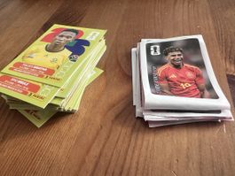 Panini WM 2026