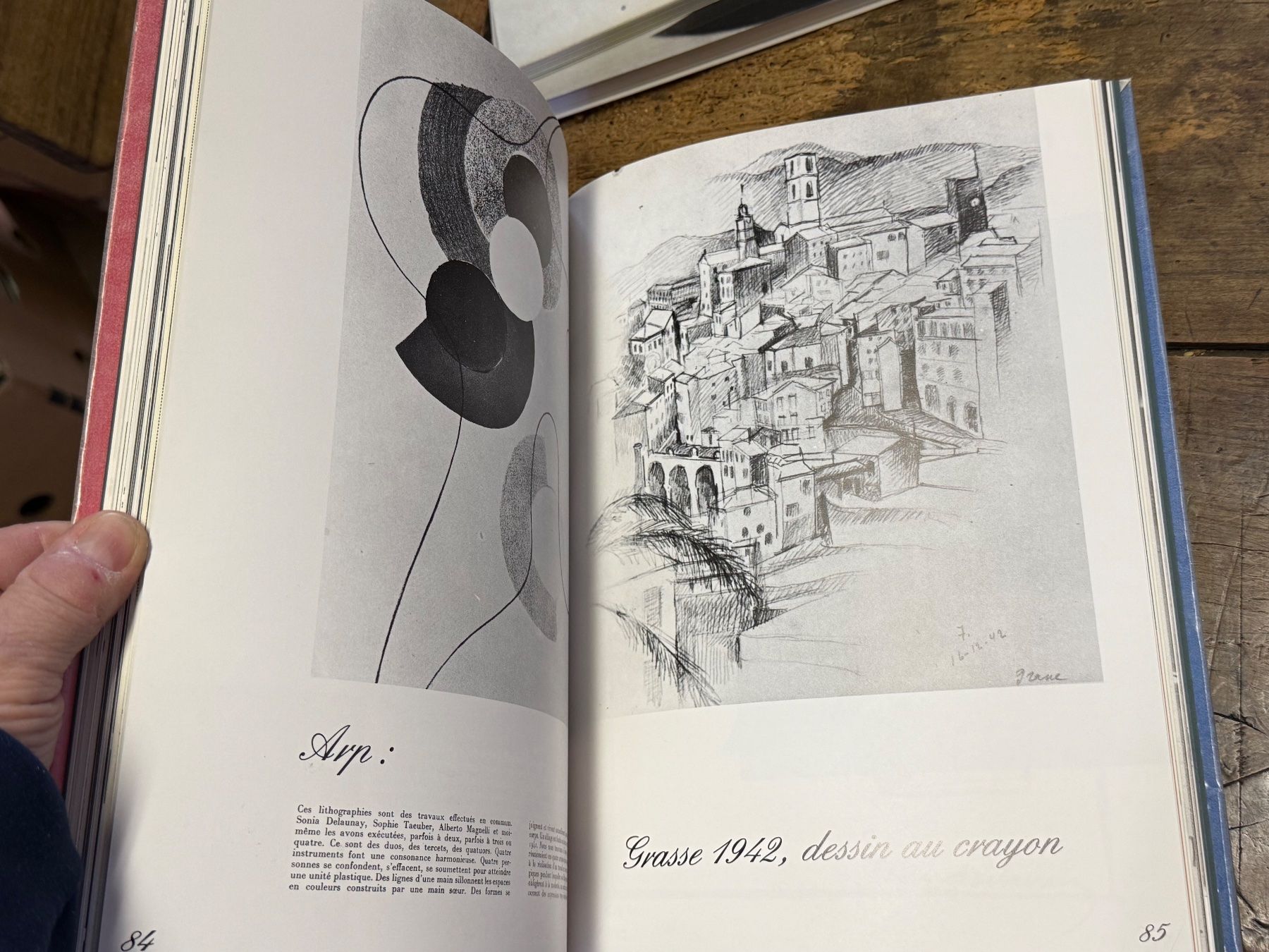 Libri: Sonja DELAUNAY Jacques Damase – Usato da Bern venduto da Jwpm66 4