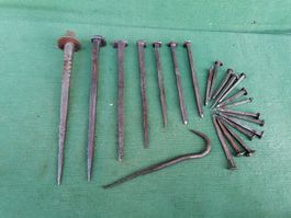 Alte handgeschmiedete Nägel, antike Sammlung, Konvolut