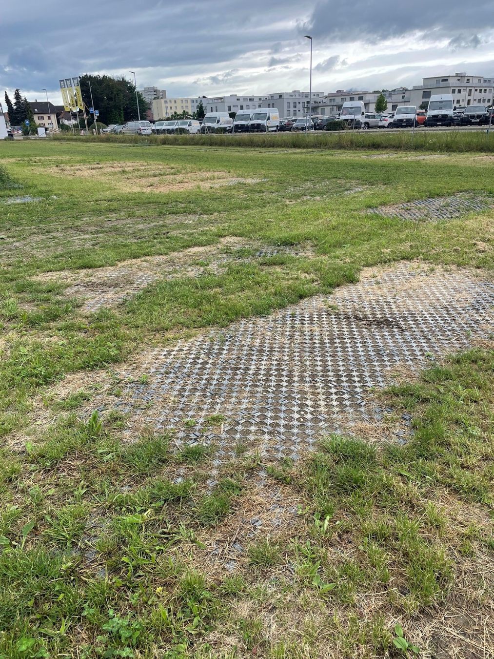 Bodenbeläge: Terra-Grid E®35 Rasengitterplatten – gebraucht - 2500m2 – Gebraucht aus Langenthal von SwissbilityAG 5