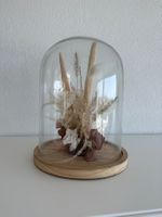 Cloche en verre fleurs séchées
