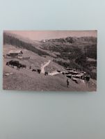 Carte Postale Ancienne Chandolin 1936, Belle Tola, RARE!