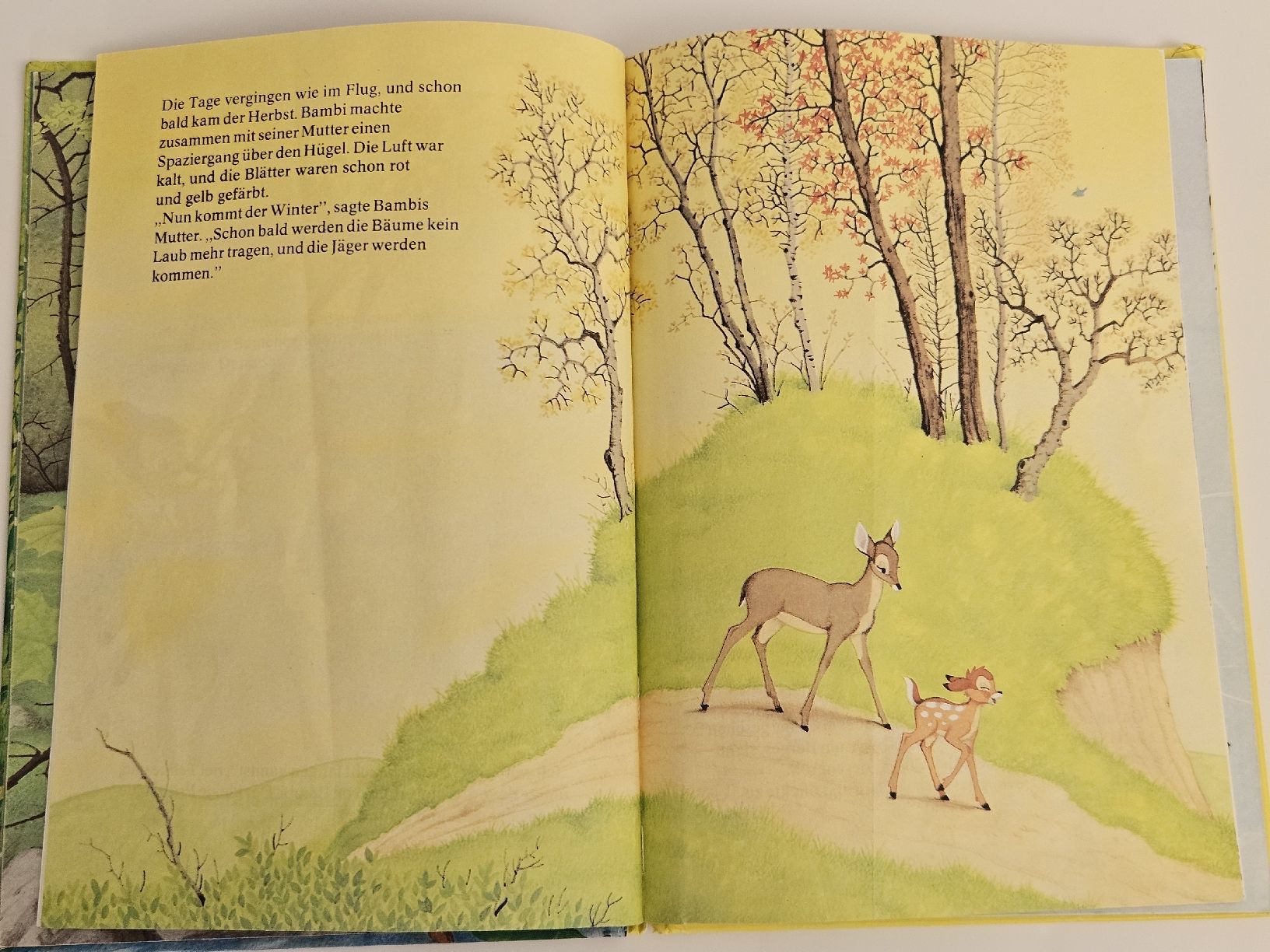 Fumetti: Walt Disney - Bambi wird erwachsen - 1983 – Usato da Oberdorf BL venduto da BaldenEagle 2