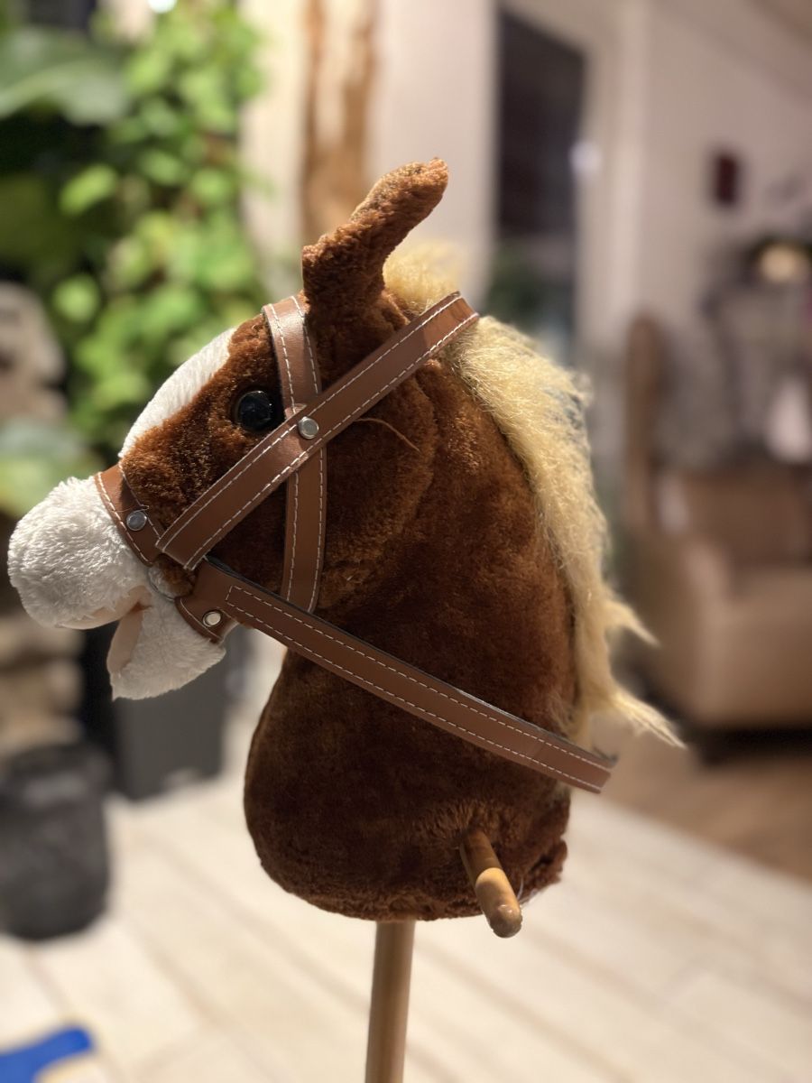 Giocattoli: Hobby horse set - Steckenpferd  – Usato da Altendorf venduto da hahnna79 2
