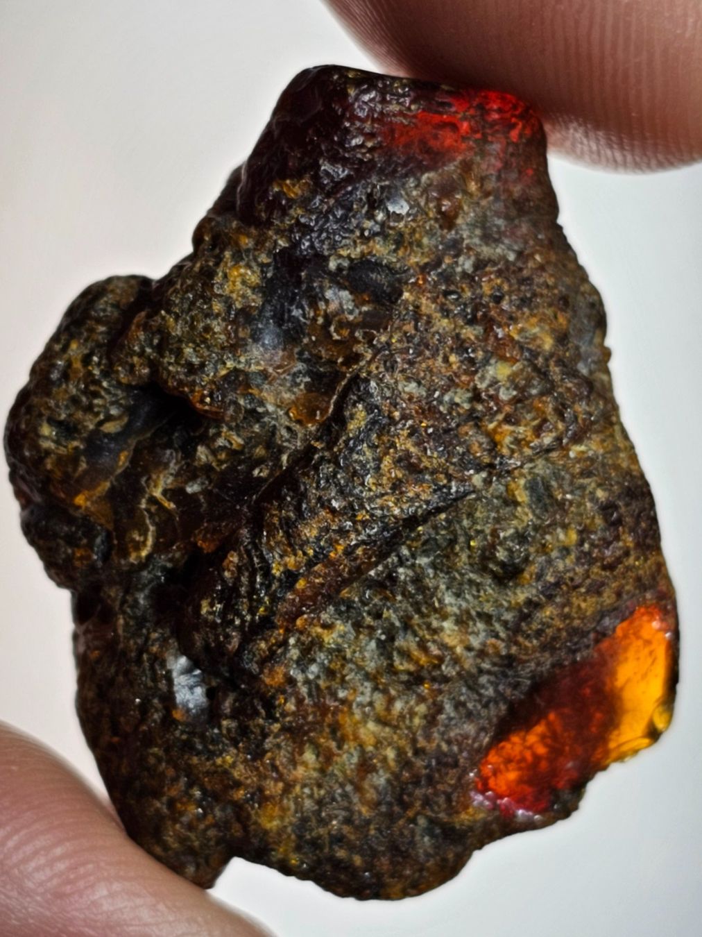 Minerali & Pietre curative: 5,7 gr Rohbernstein echt Roh Bernstein baltisch raw rot – Nuovo (secondo la descrizione) da Riedt b. Erlen venduto da Gottestraene
