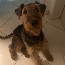 Profile image of Mia.Bor