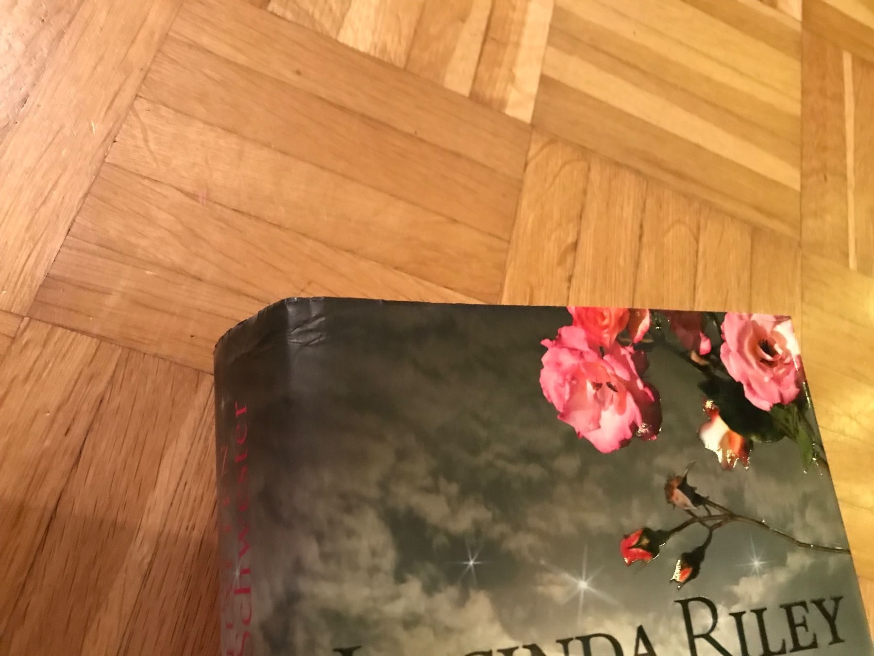 Libri: Lucinda Riley - Die Schatten Schwester – Usato da Emmenbrücke venduto da Hathor123 5