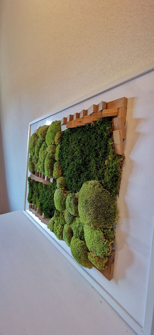 Tutte le decorazioni: Moosbild handgemachte 94 x 63 cm – Usato da Wuppenau venduto da Gemini121021