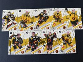 SC Bern