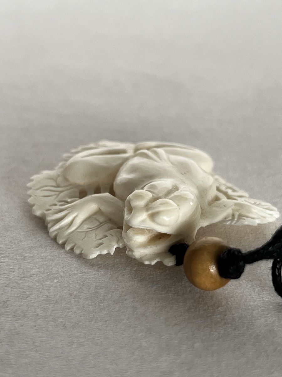 Catenine: Hand-Carved Bone Frog Pendant Necklace Frosch Knochen – Nuovo (secondo la descrizione) da Moehlin venduto da Balirain 3
