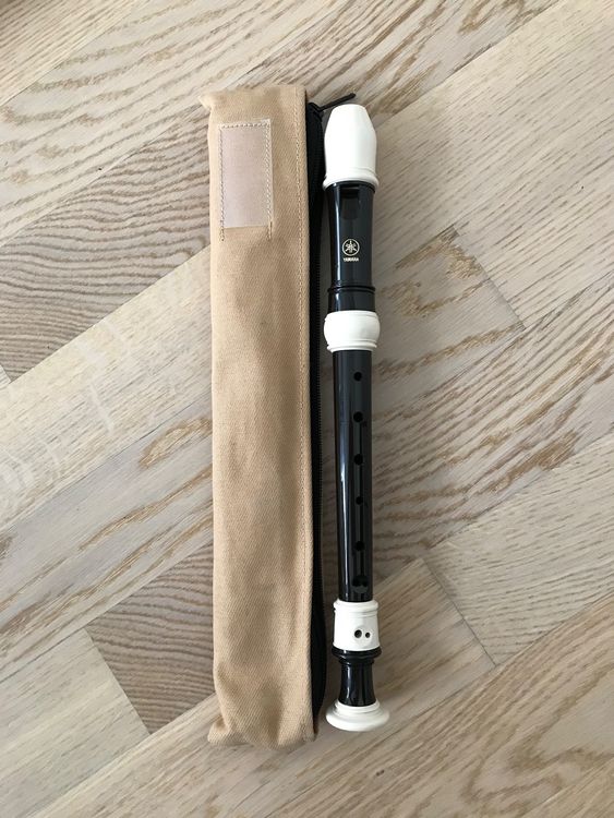 Blockflöte mit Übungshefter (Gebraucht) in Frauenfeld für CHF 16 – mit ...