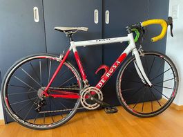 Rennvelo DeRosa Grösse M