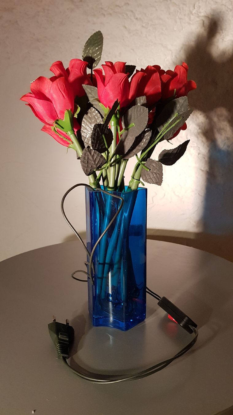 Ghirlande e barre luminose: Vase mit Lichterketten Blumen – Usato da Erlenbach ZH venduto da wem_6f9c 2