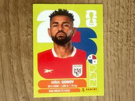 Panini FIFA World Cup Sticker Anibal Godoy PAN 11