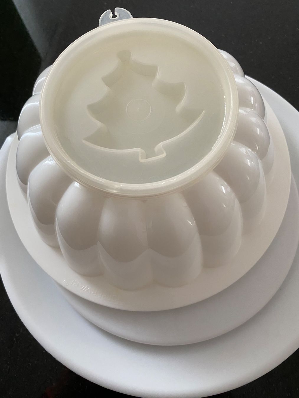 Tupperware Contenitori & Simili: Tupperware Puddingform 7teilig – Usato da Einsiedeln venduto da PaedeK84 2