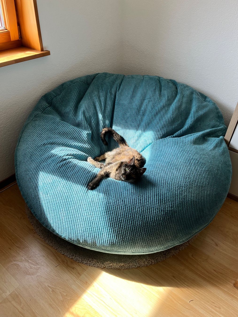 Poltrone: Pouf géant – Usato da Echallens venduto da sar_z7tm 1