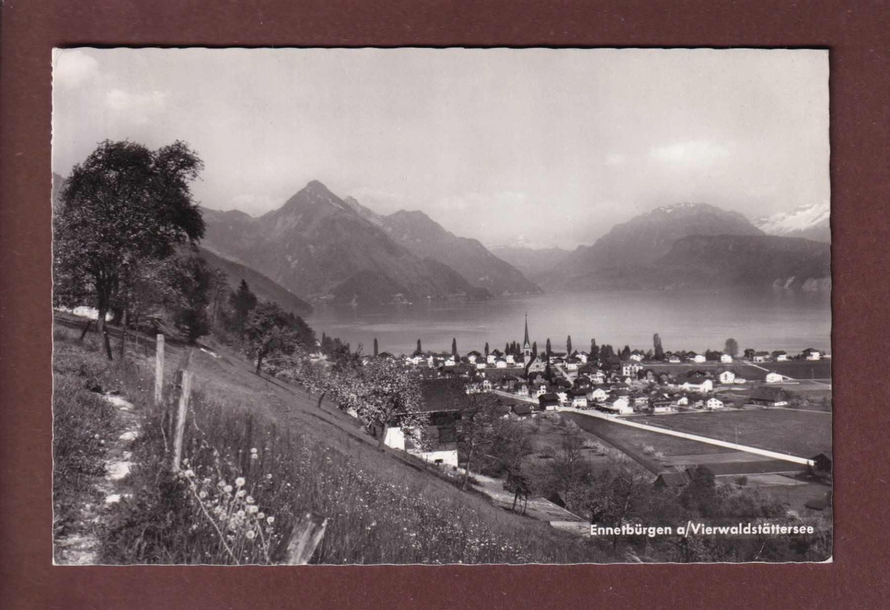 Cartoline postali: ENNETBÜRGEN am Vierwaldstättersee - 1960 // Eckbug // – Usato da Pully venduto da nicecards