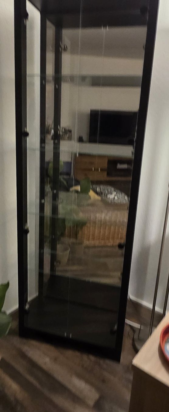 Vetrine: Glasvitrine – Nuovo (secondo la descrizione) da Küttigen venduto da Lupsi 1