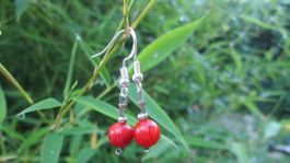 Wundervoller Ohrhänger Schmuck Schaumkorallen Perle 925er Si