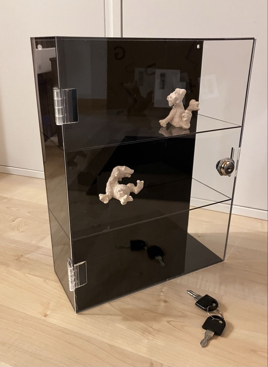 Vetrine: neue Acrylvitrine abschliessbar – Nuovo e nell'imballaggio originale da Bremgarten AG venduto da merlindimi