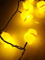 Lichterkette mit Enten