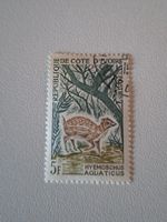 Briefmarke Elfenbeinküste Hyemoschus aquaticus 5F