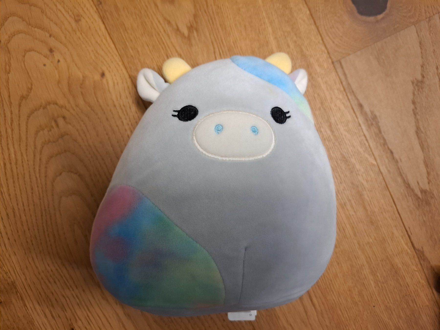 Squishmallows Jouets: 2x Squishmallow 20cm – D'occasion à Mels par Aloha86 2