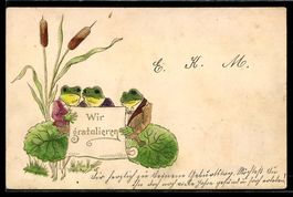 Frösche mit Gratulationsschreiben, verm