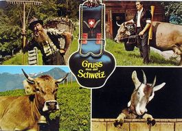 Gruss aus der SCHWEIZ Bauer - Kuh - Ziege