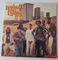 Mandrill Just Outside of Town Vinyl LP