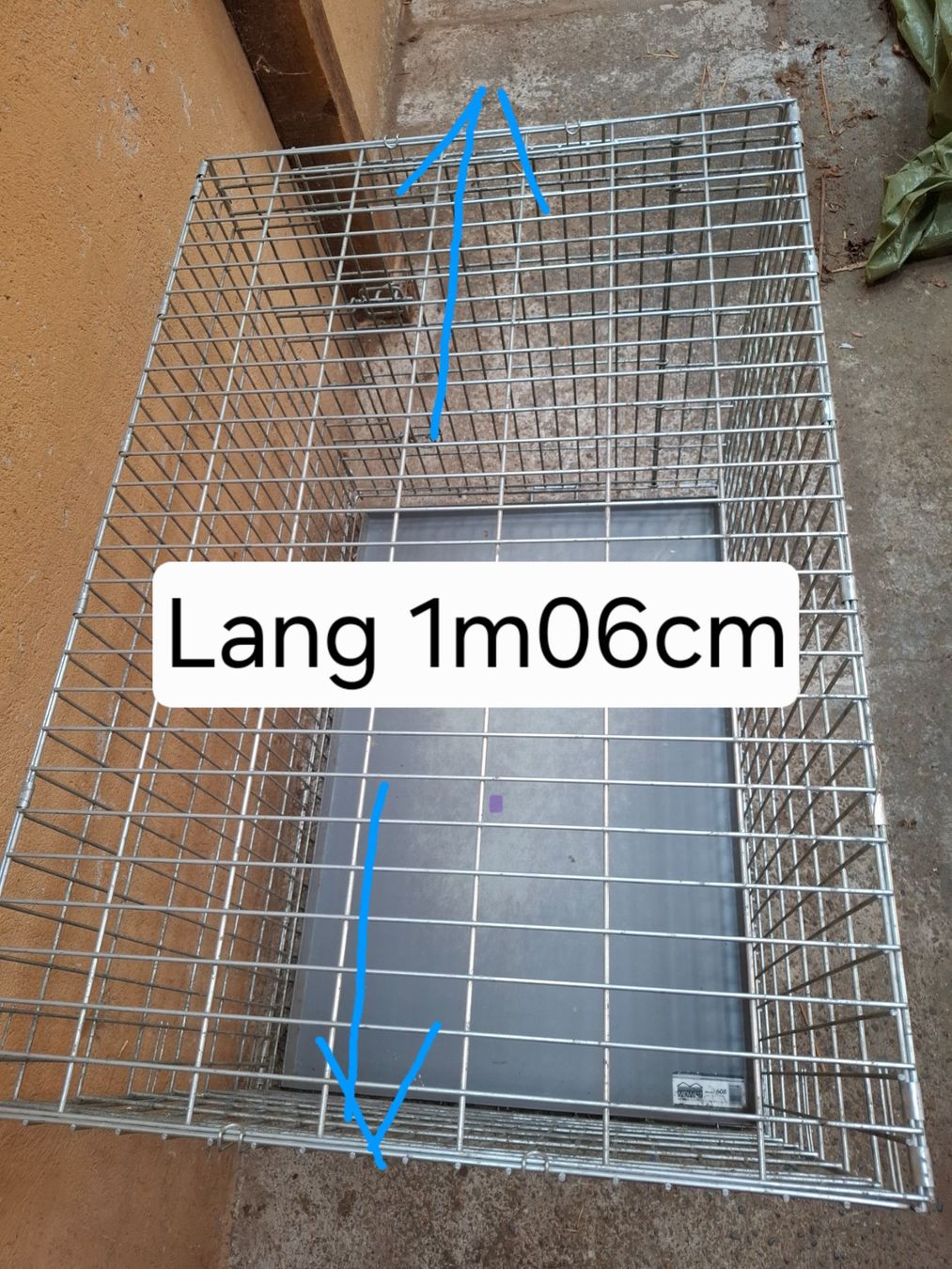 Cages, transport & sécurité: Hundeboxe – D'occasion à Birmenstorf AG par kildareeins 1