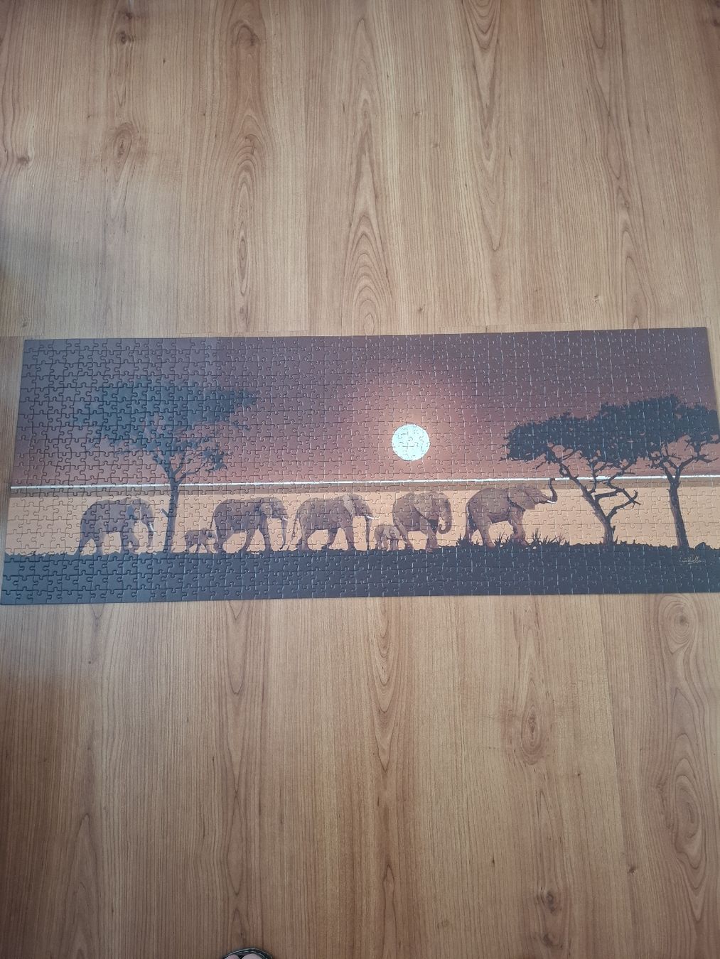Foto & Immagini: Puzzlebild 980x370 mm – Usato da Hunzenschwil venduto da Hardrock6