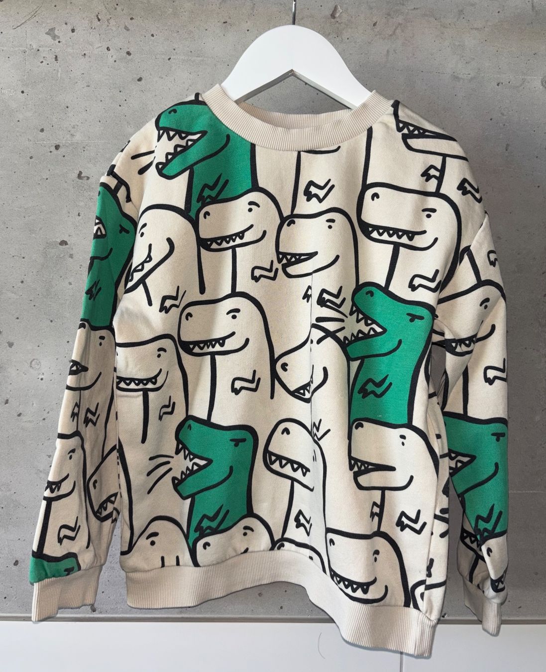 H&M Maglioni & Felpe: Pullover H&M 110 116 beige Dino – Usato da Rebstein venduto da wendy321meins 1