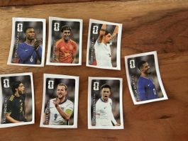 Panini Coca Cola 7 Stück