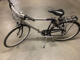 Alpina Citybike,  Zustand, ideal für den Frühling!