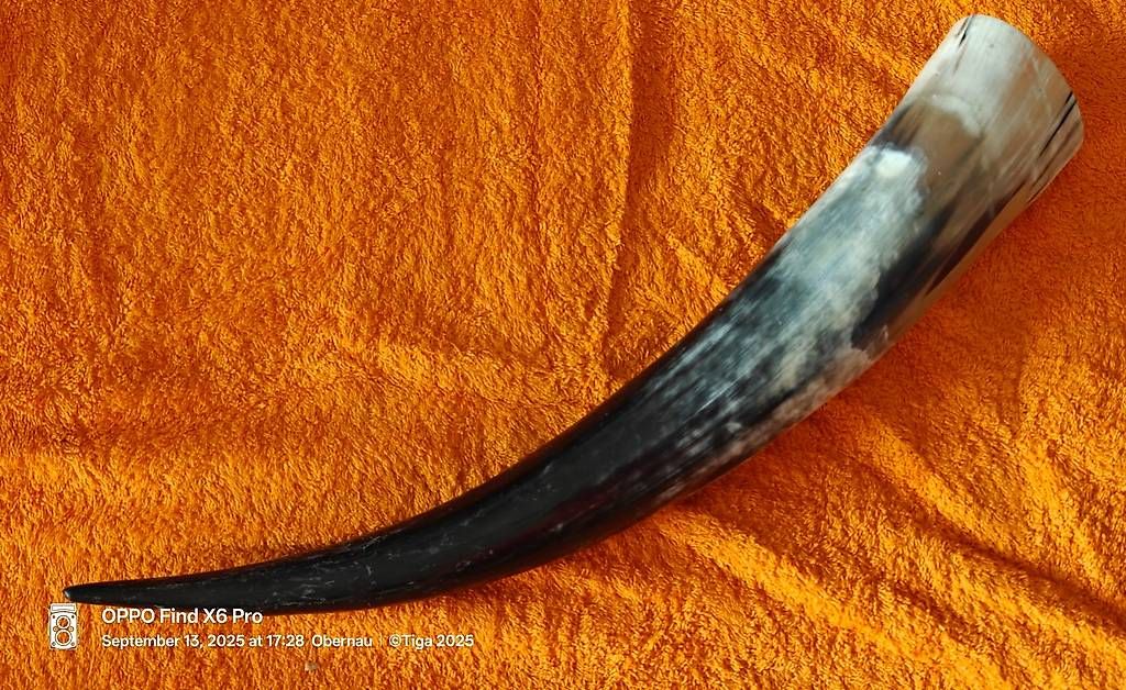 Tutte le decorazioni: Wikinger Trinkhorn, als Deko oder Mittelalterfestivals – Nuovo (secondo la descrizione) da Obernau venduto da Tiga42