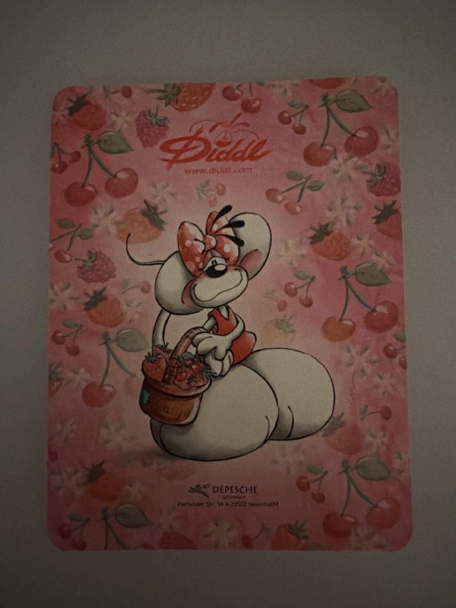 Autocollants: Diddl Post-it – D'occasion à Fraubrunnen par amm_7kp6 1